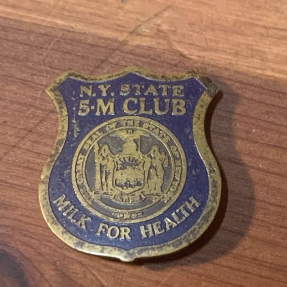 Vintage Collectible Pins & 4H, Smoky the Bear, NYS 5M 1939 Dog Tag, Little Leage - Picture 6 of 14